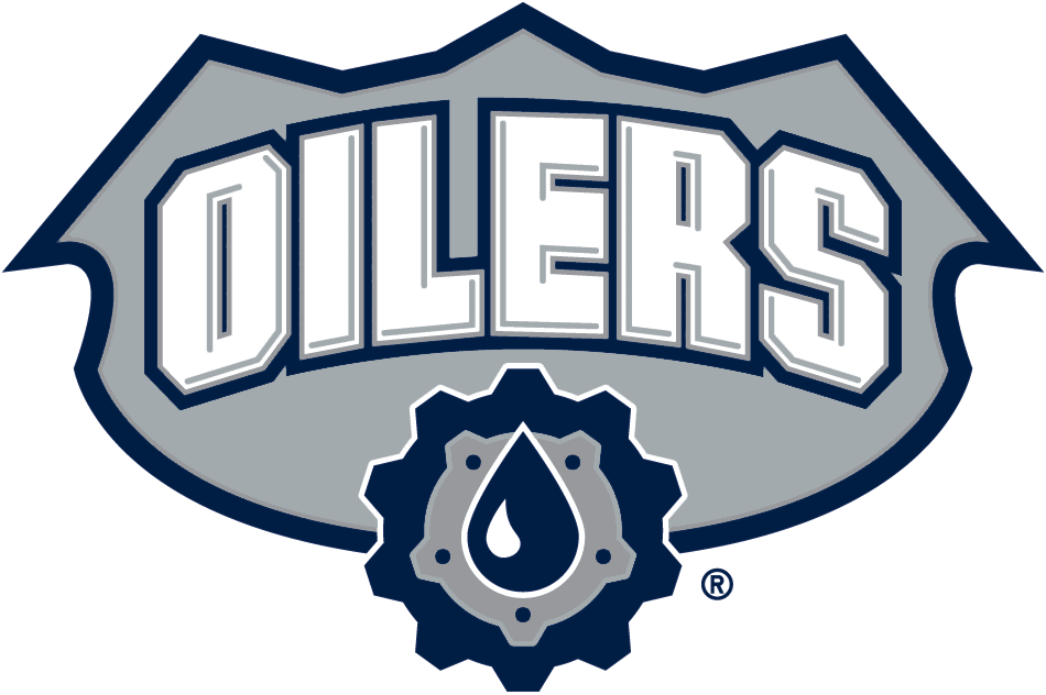 Edmonton Oilers 2001-2007 Alternate Logo iron on transfers for clothing